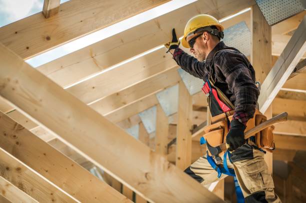 Best Roof Gutter Cleaning  in St Anthony, MN