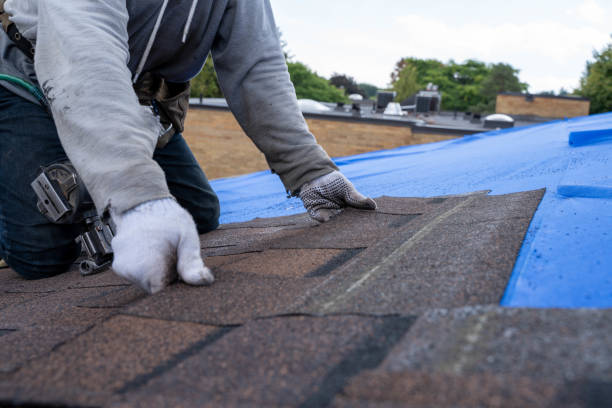 Roof Waterproofing Services in St Anthony, MN